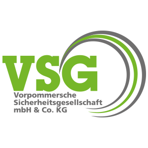 vsg logo